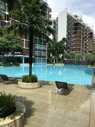Floridian (D21), Condominium #480064471